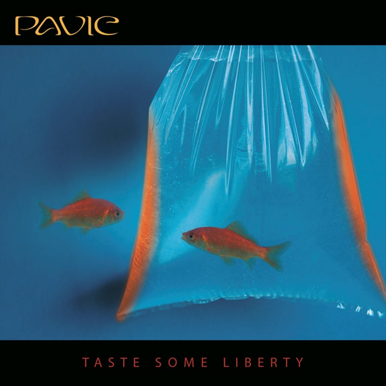 Image of Pavic - Taste Some Liberty