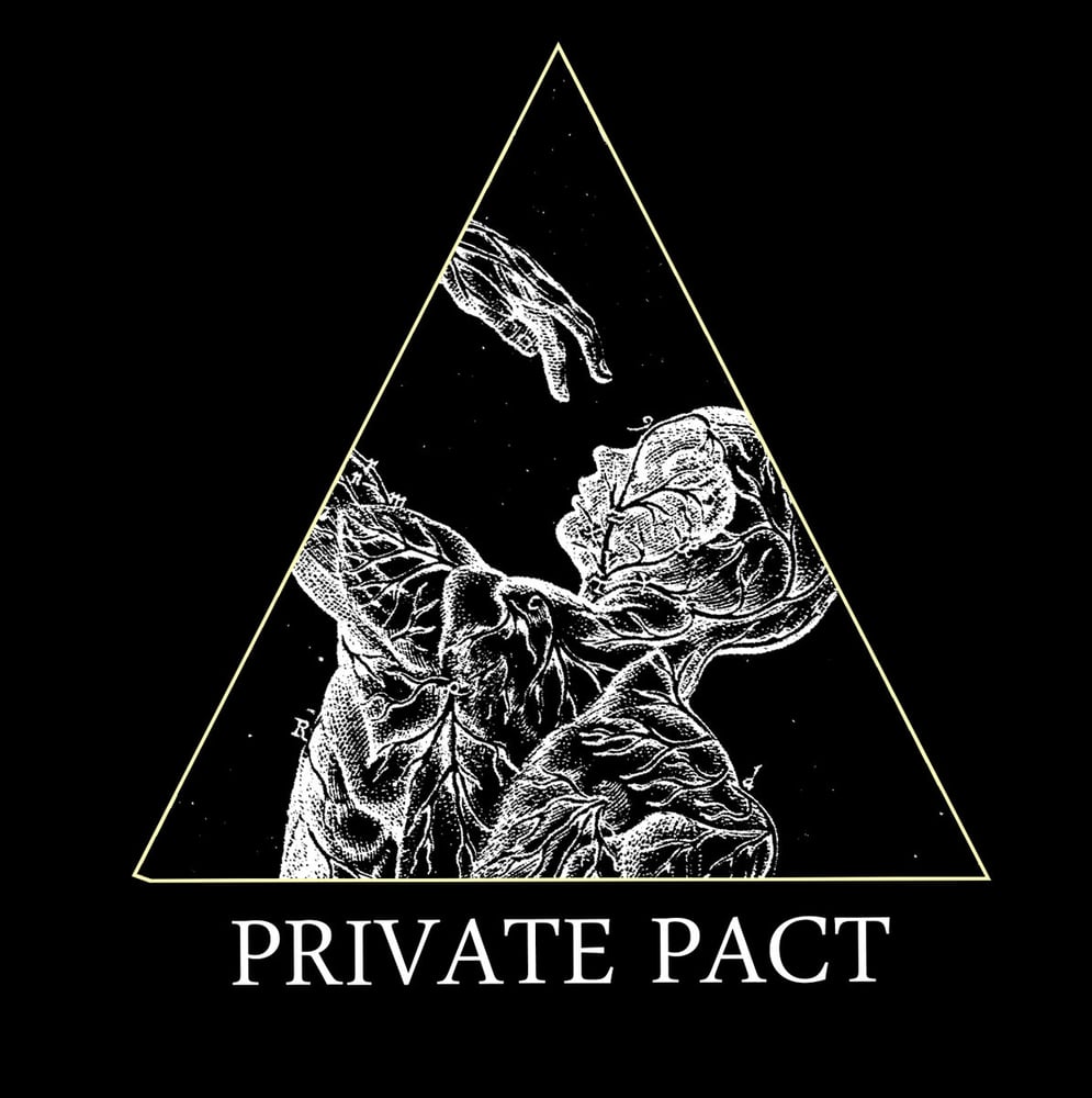 Image of Private Pact "Purity" LP OUT NOW