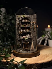 Image 1 of The Witch’s Apothecary