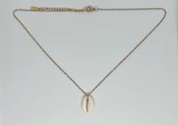 Cowrie Shell stainless steel necklace 