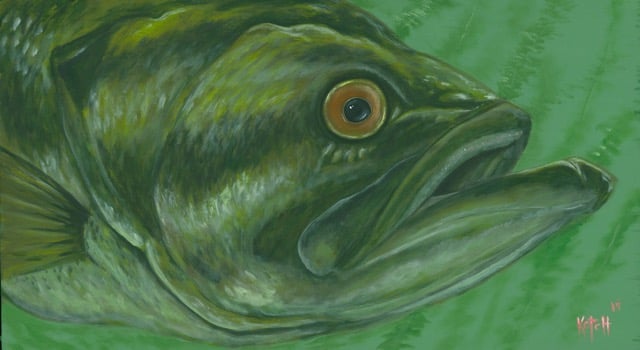 Image of "Green Bass"