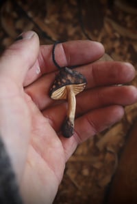 Image 2 of Burnt mushroom Pendant 