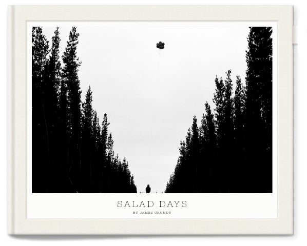 Image of Pre-Order Limited Edition Series of 25 Salad Days Book