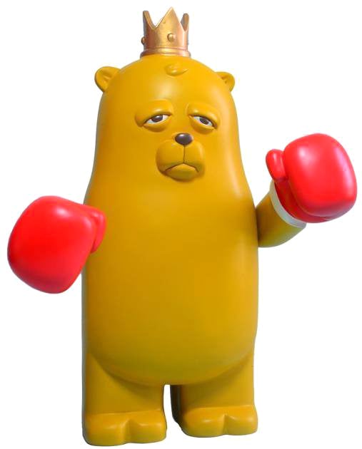 Image of Bear Champ 