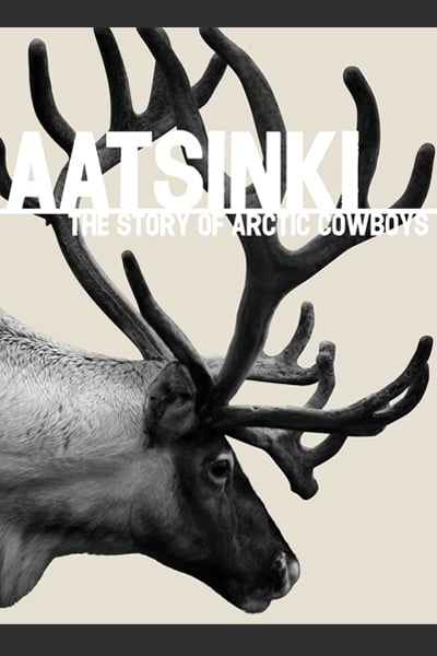 Image of Aatsinki Home-Use DVD