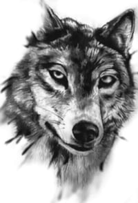 OUT CAME THE WOLVES