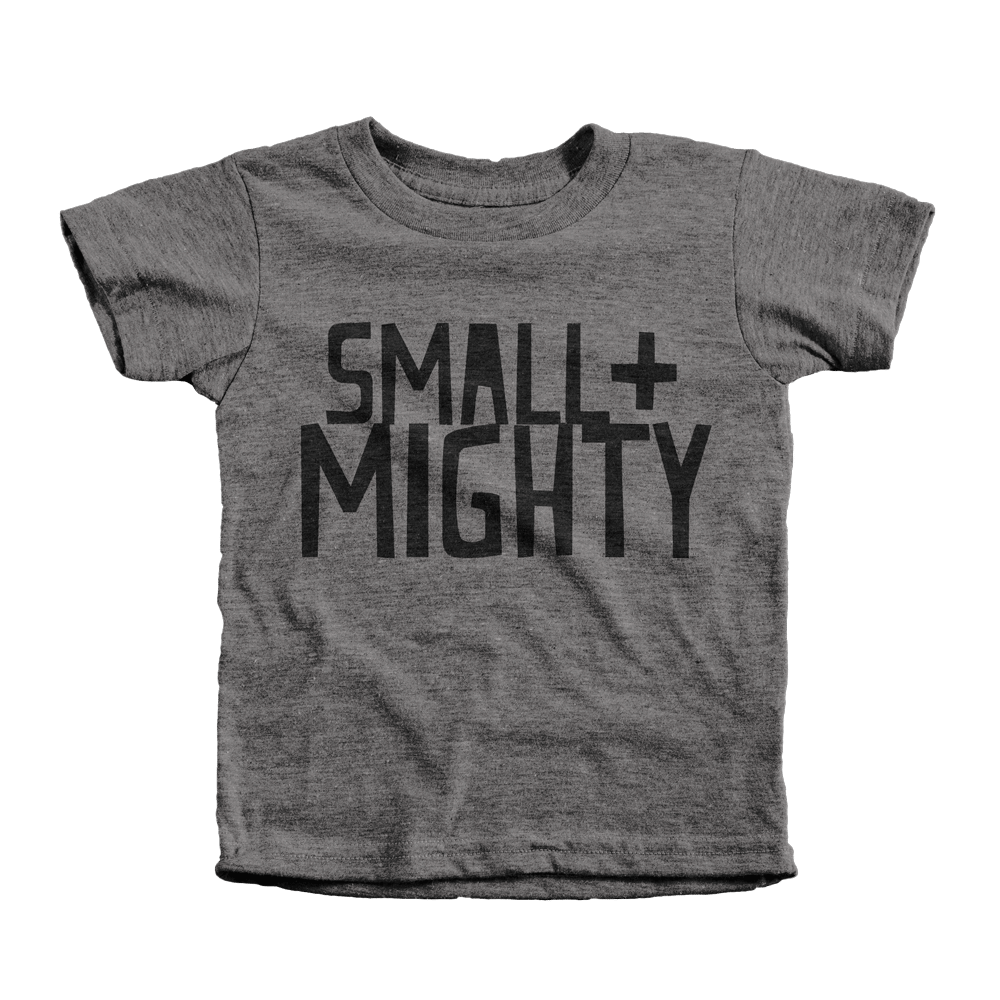 Image of Small + Mighty Tee Grey / 6T