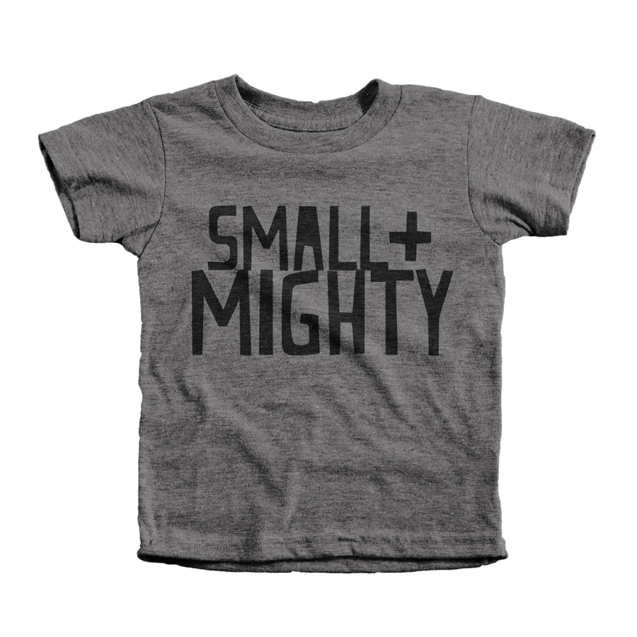 Image of Small + Mighty Tee Grey / 6T