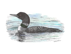 Image of loon prints