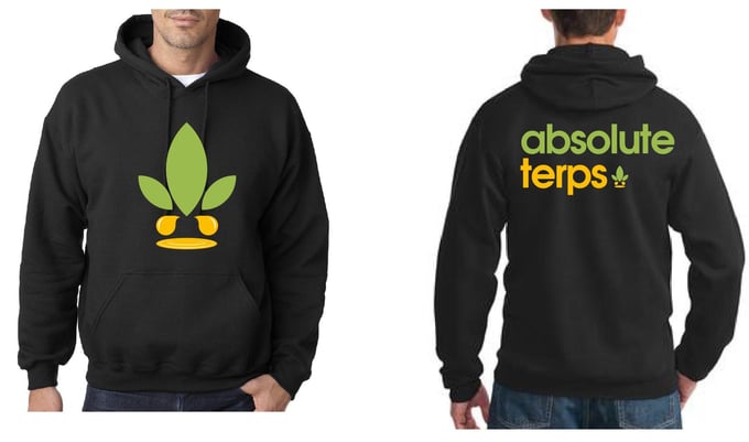 Image of Absolute Terps Pullover Hoodie
