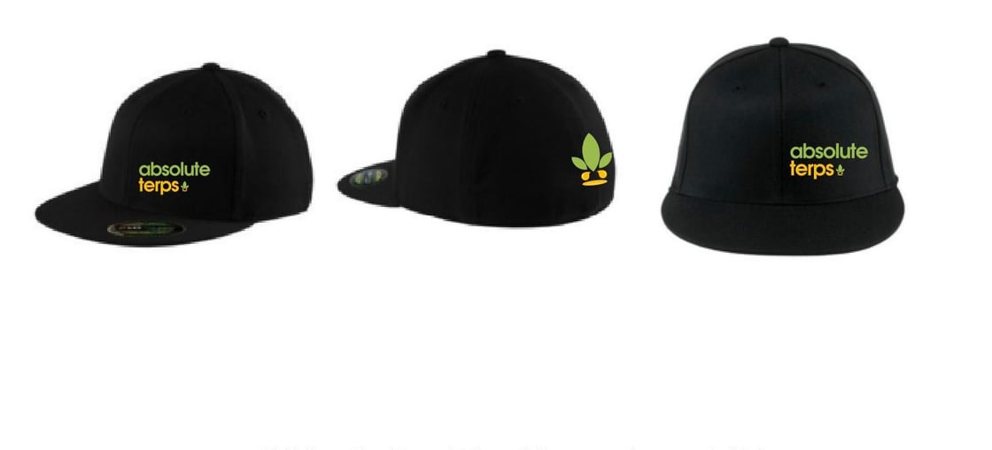 Image of Absolute Terps Flex-Fit Hat