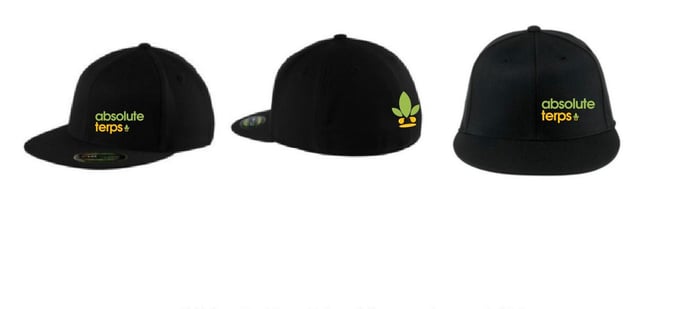 Image of Absolute Terps Flex-Fit Hat