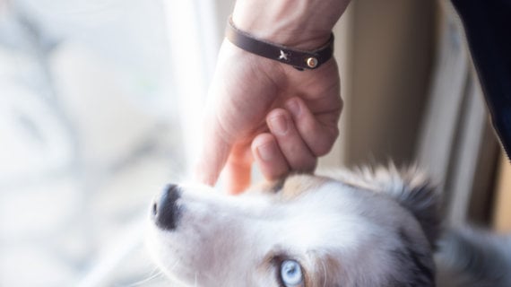 Image of Premium Leather Bracelet