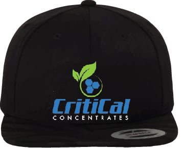 Image of Critical710 Snap Back