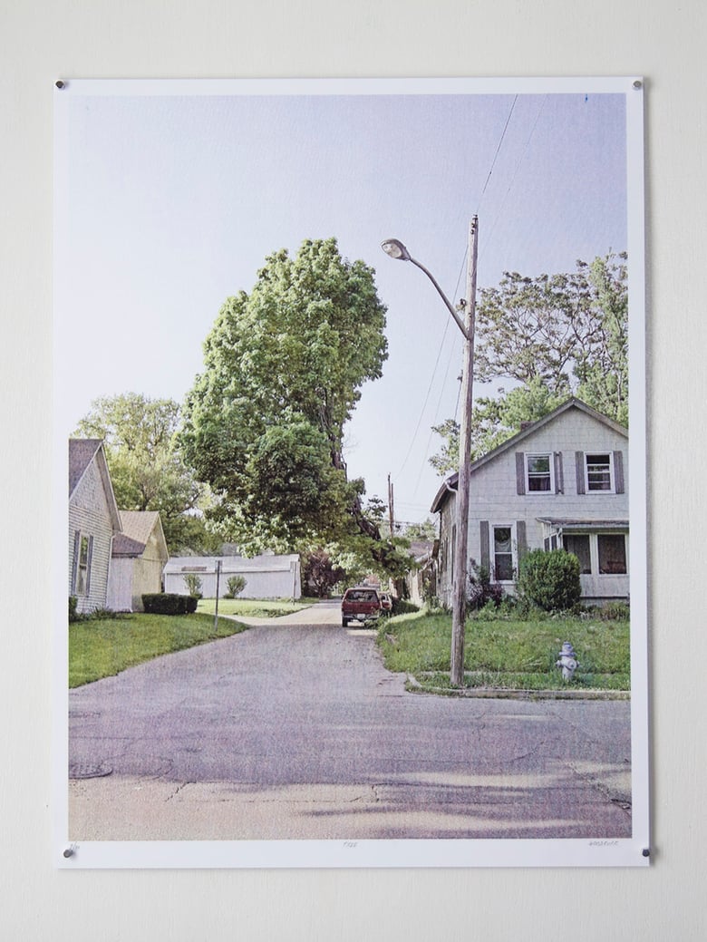 Image of "Tree" Ltd. Print