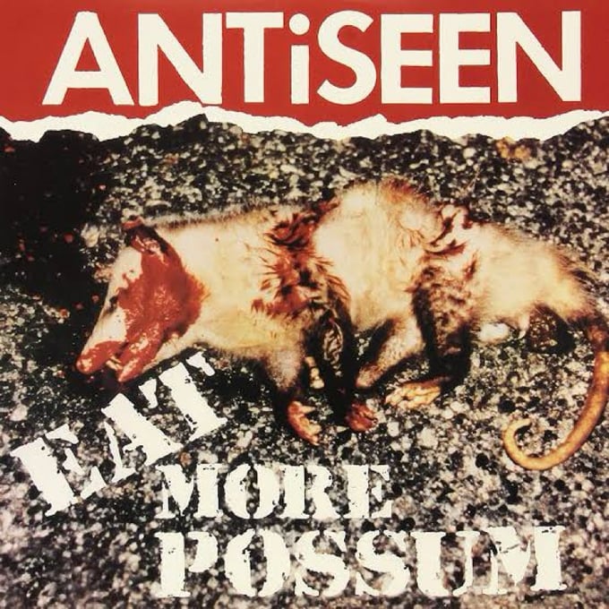 Image of Antiseen. Eat more possum