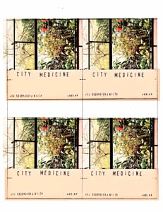 Image of 37 City Medicine