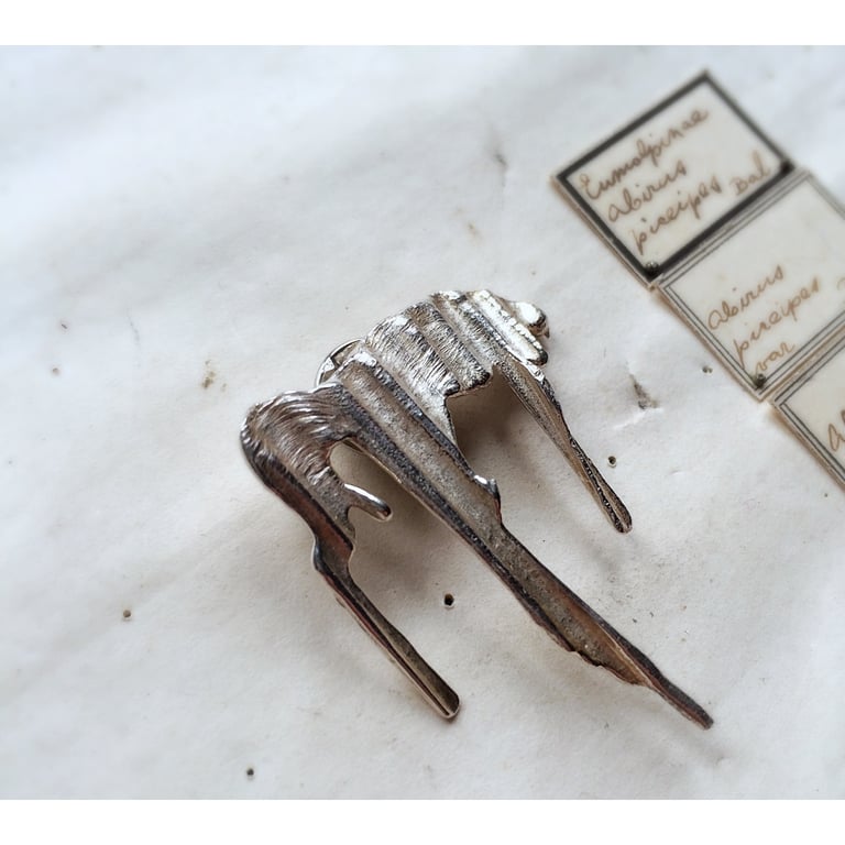 The Cosmic Jive Image 2