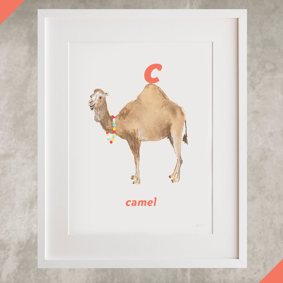 C  Camel Letter Print  eïghtbear