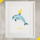 Image of D - Dolphin Letter Print