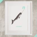 Image of N - Narwhal Letter Print