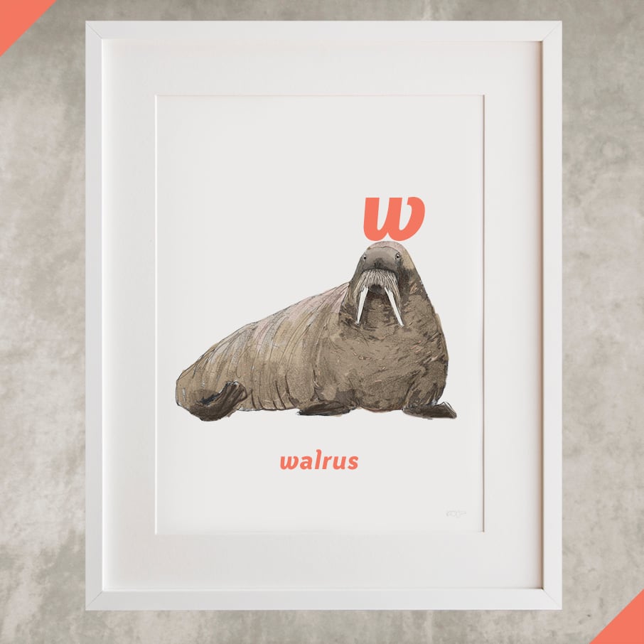 W - Walrus Letter Print | eïghtbear