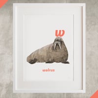 Image 2 of W - Walrus Letter Print