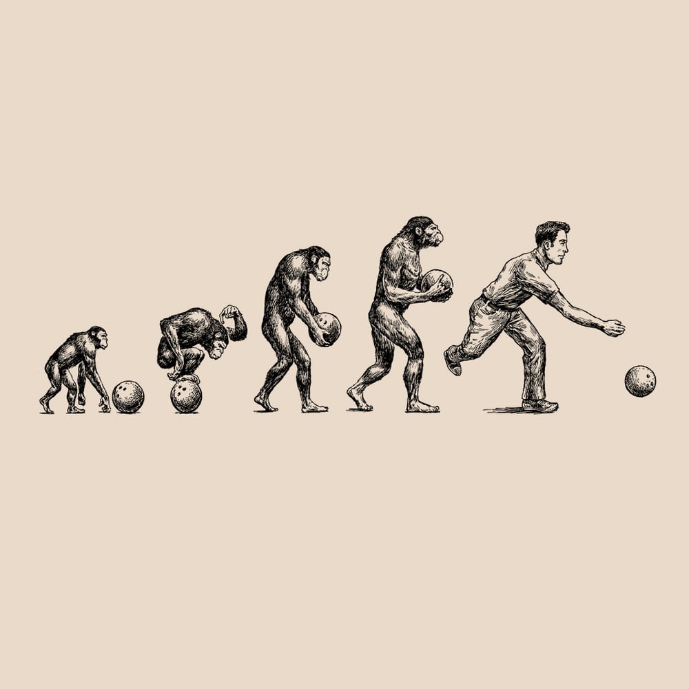 Image of Evolution