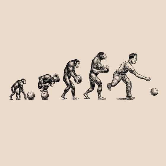 Image of Evolution