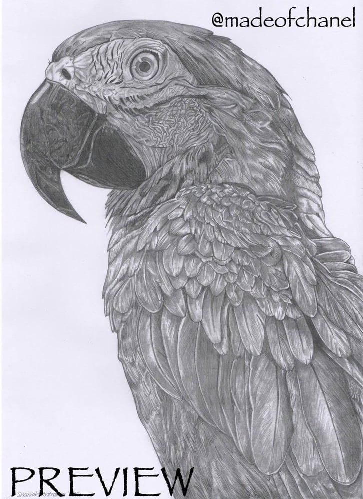 Image of Graphite Vertical Bird Print (A3)