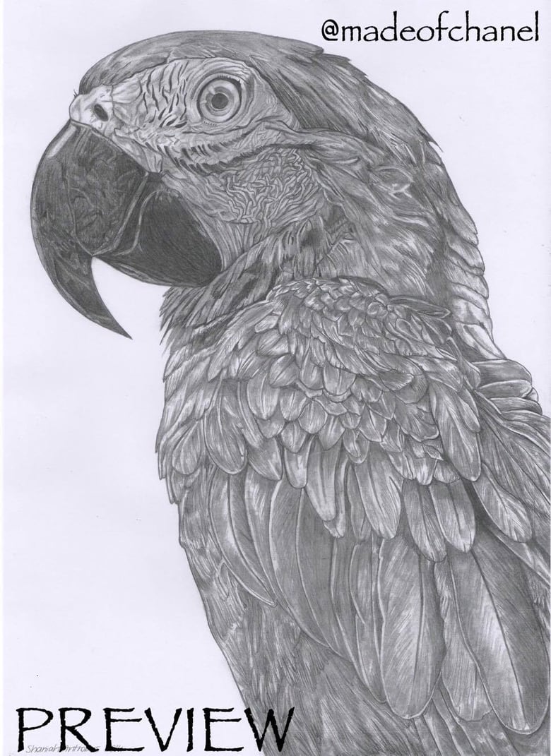 Image of Graphite Vertical Bird Print (A3)