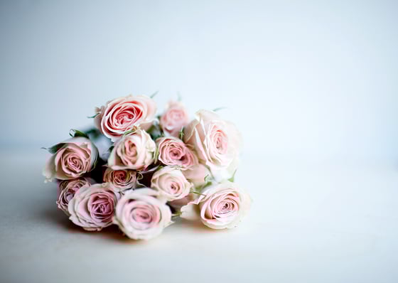 Image of Pink Cream