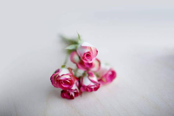Image of Delicate Pinky