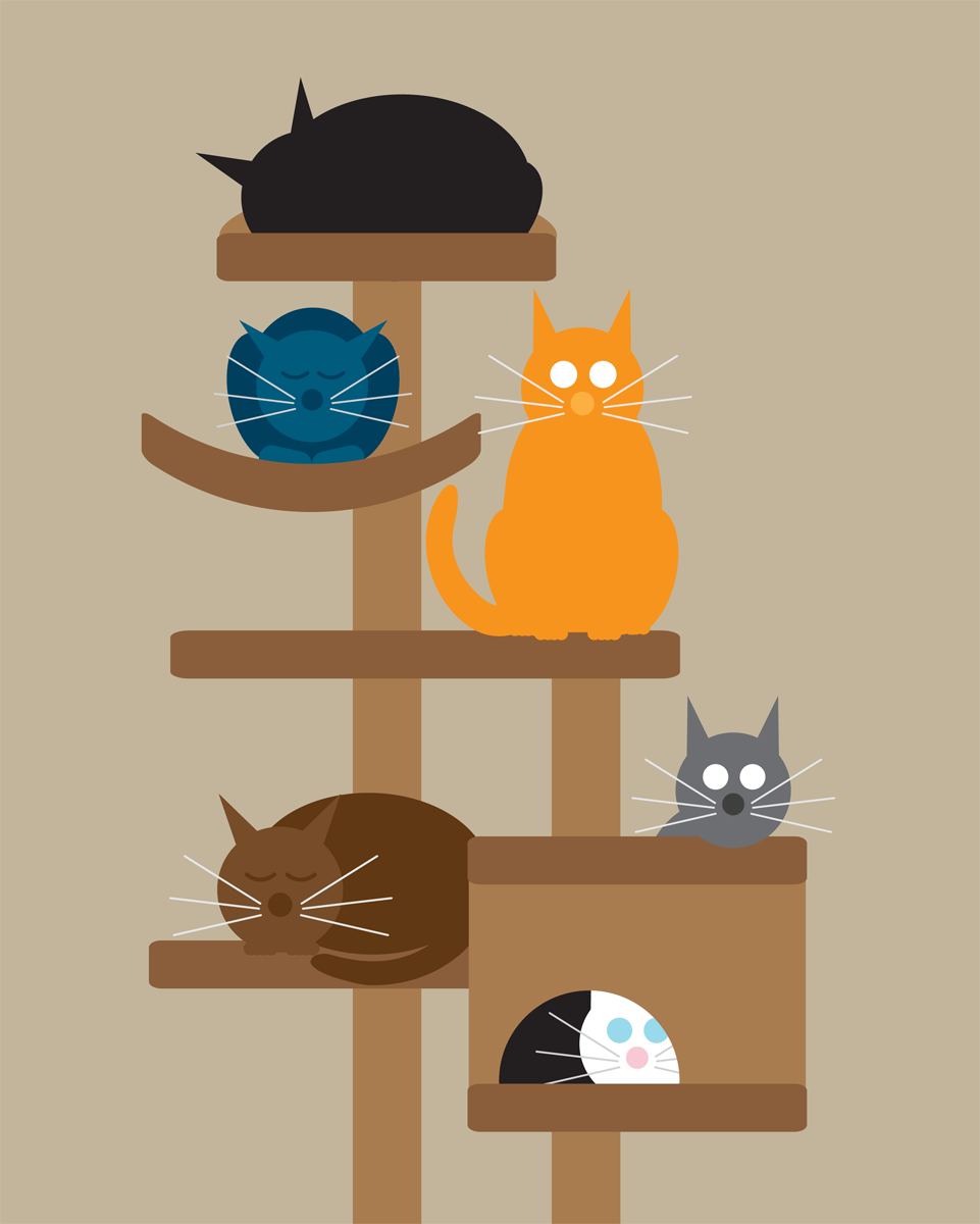 Mulit Cat Collection