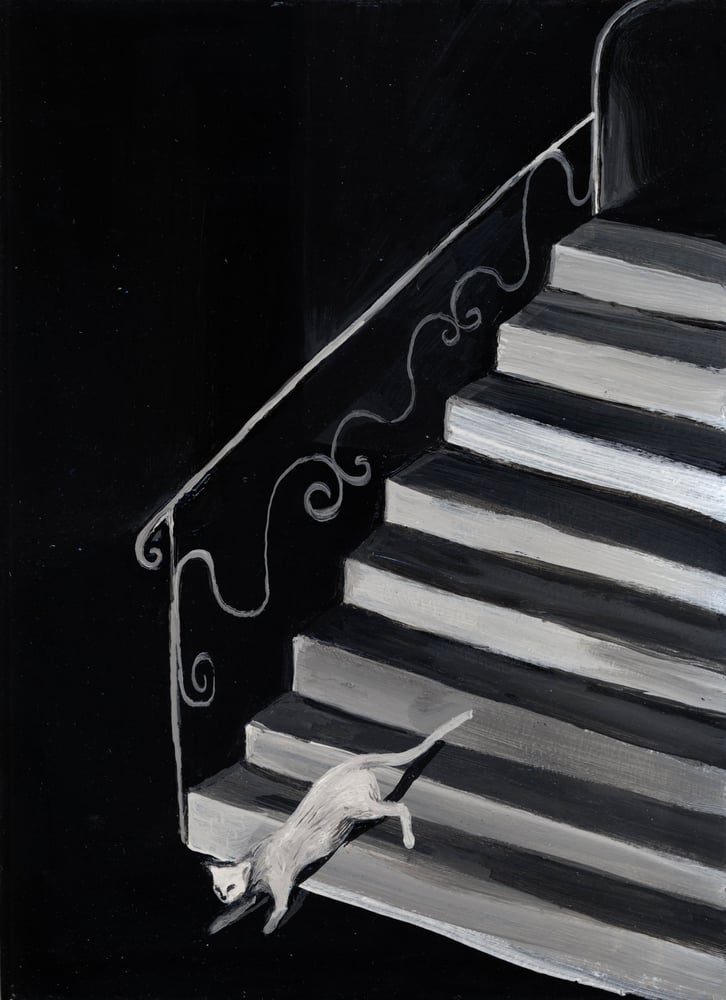 Image of white cat
