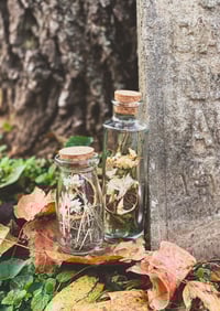 Image 2 of Small oddity jar