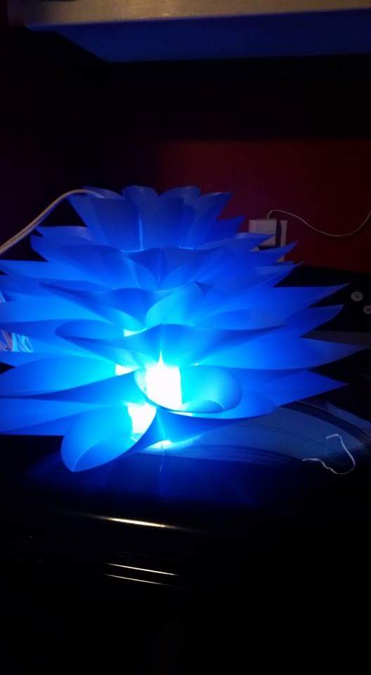 Image of Lotus Lamp