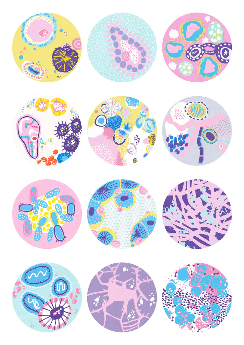 Image of "Bacteria"