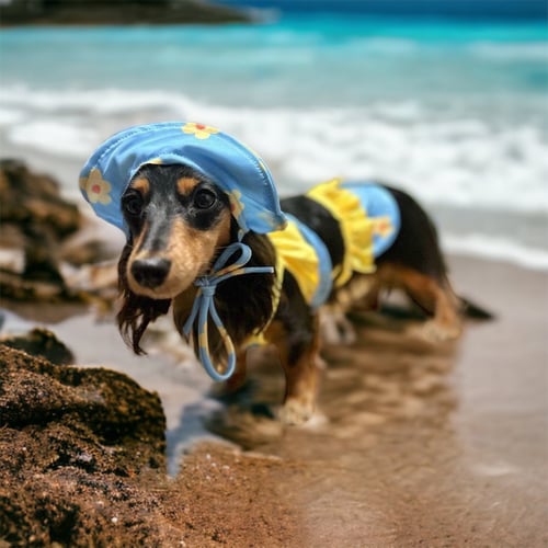 Image of Flower Pet Bikini 