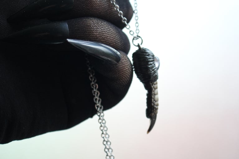 Dead Good Pheasant toe necklace with lolite crystal stone copy Image 3