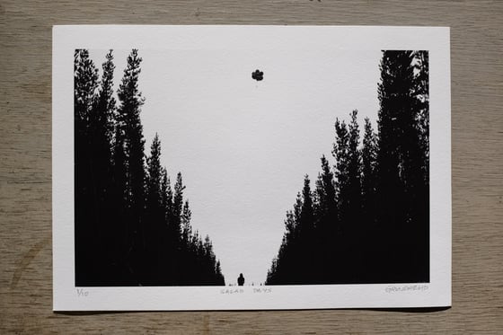 Image of 8 x 12" Limited Edition Series of 10 Signed And Numbered Print - Pines 