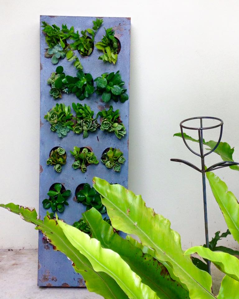 Image of GREEN WALL | Freestanding succulent green wall
