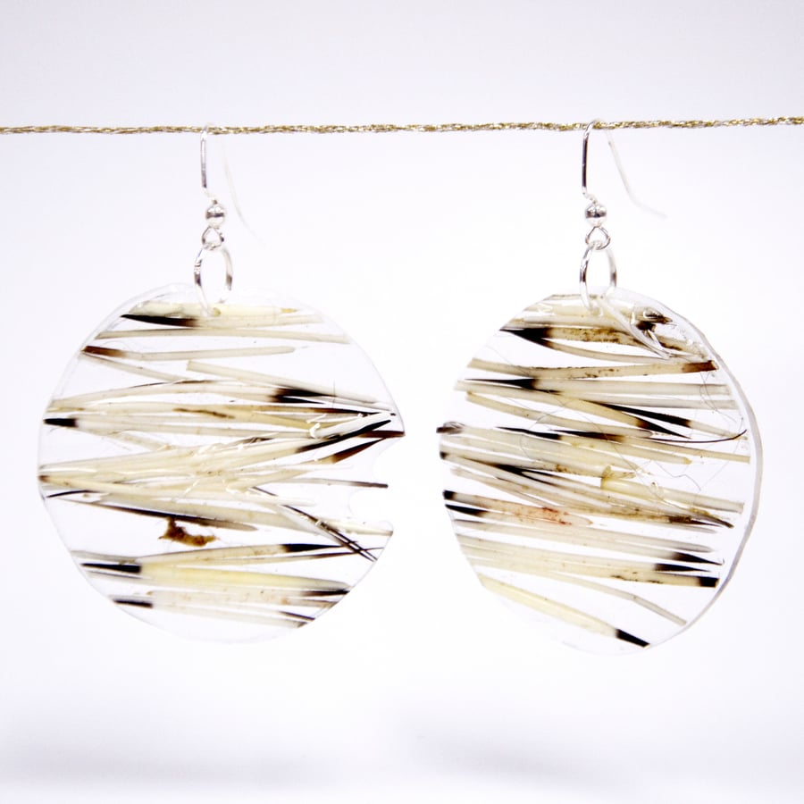 Image of Sealed in Ice Quill Circle Drop Earrings