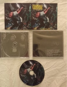 Image of Vicissitude CD