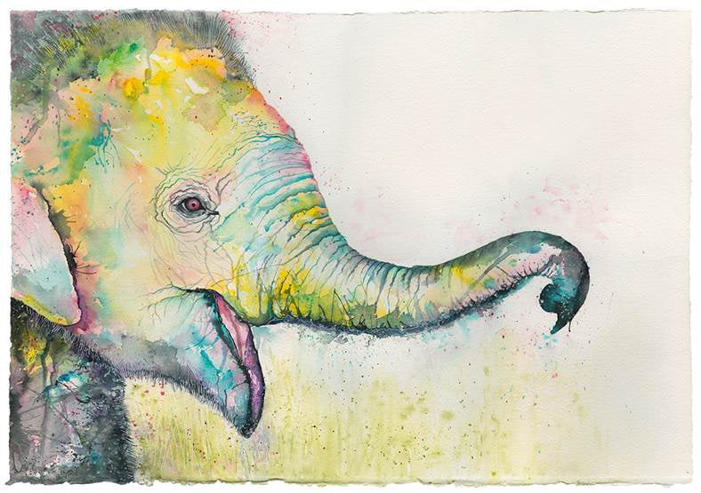Image of Bubba Elephant with FREE SHIPPING 
