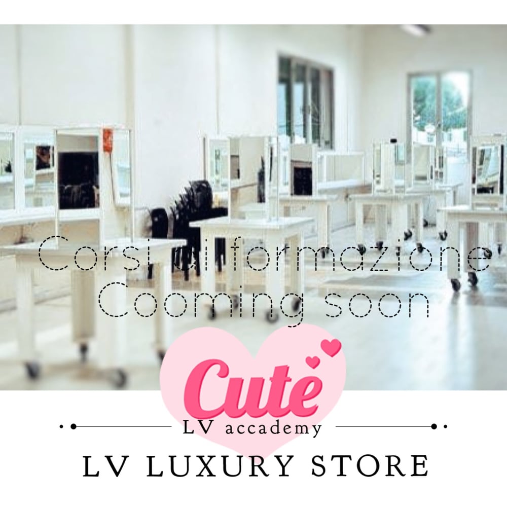 Image of LV Accademy 