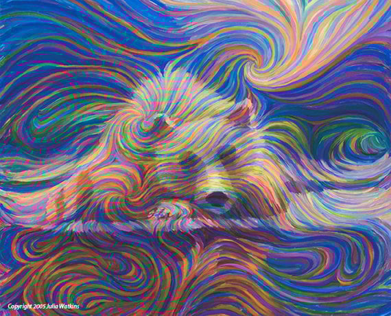 Image of Medicine Bear