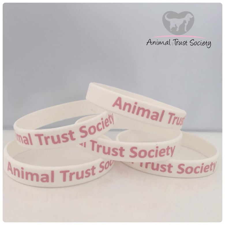 Image of ATS Wristband