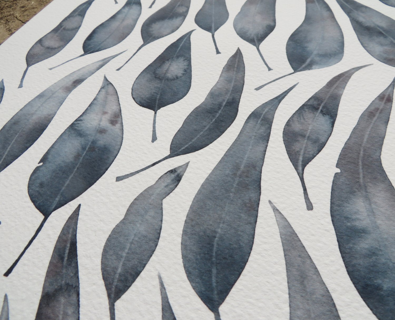 Image of Silver Princess Eucalyptus Leaves fine art print