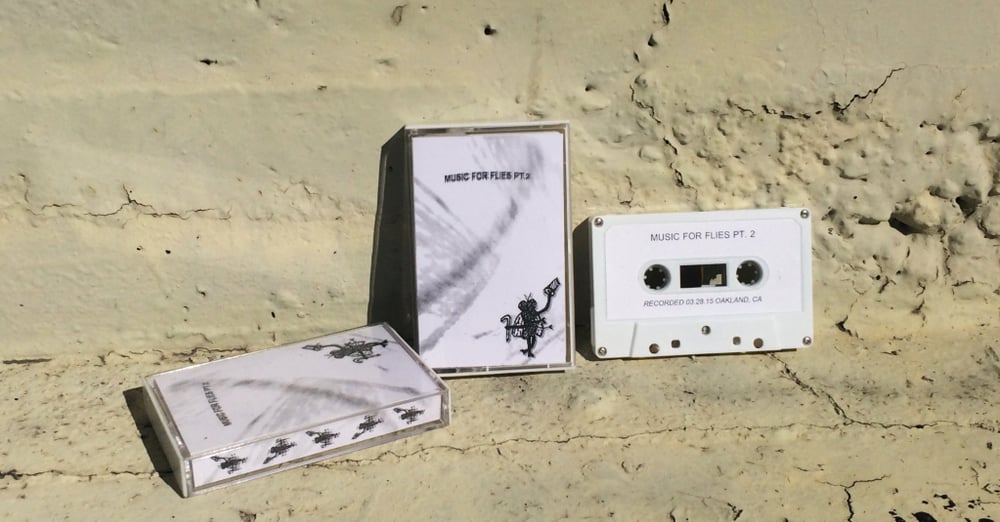 Image of UD002 - MUSIC FOR FLIES PT. 2